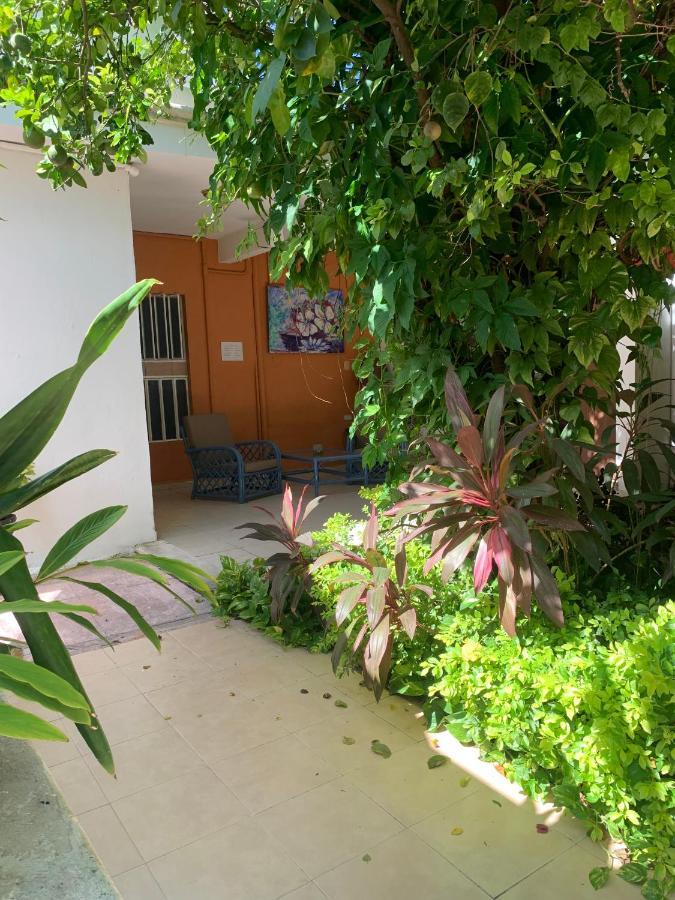 Casa Centro 70 Ξενοδοχείο Mérida Εξωτερικό φωτογραφία